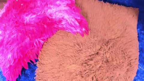 Sary  online show from April 13, 11:27 am