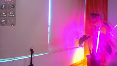 sasha_gracee_ online show from April 8, 1:00 pm