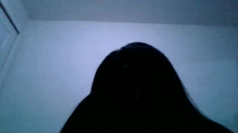 sashacoxxx online show from December 1, 2:16 am