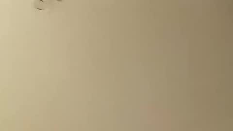 Snapshot of saucybear666 chatting on January 26, 5:13 am SnowBunny online show from January 26, 5:13 am