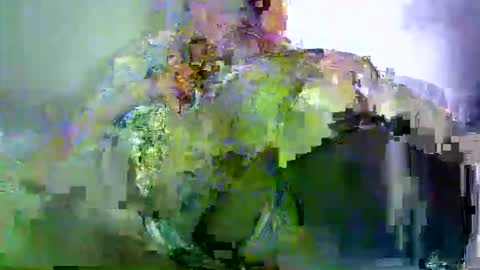 savagetonguee online show from March 29, 3:28 am