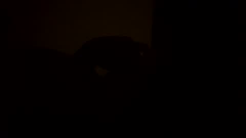 Snapshot of sc377003 chatting on March 11, 2:54 am sc377003 online show from March 11, 2:54 am