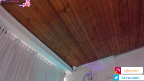 Snapshot of scarlet_miller_1 chatting on January 24, 6:04 pm Celeste online show from January 24, 6:04 pm