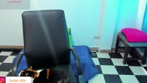 Scarlett online show from March 19, 8:57 pm