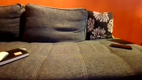 Snapshot of schmuhbaer1 chatting on December 14, 7:58 am schmuhbaer1 online show from December 14, 7:58 am