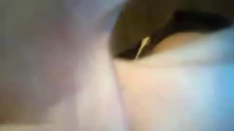 scooterlynn911 online show from June 21, 2:41 pm