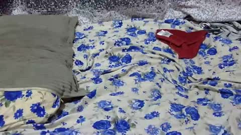 Its Lilly online show from January 25, 3:09 am