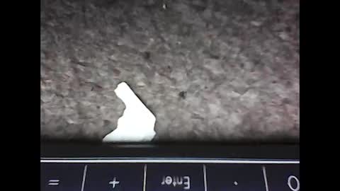 Snapshot of scots_repeater chatting on February 14, 12:09 am scots_repeater online show from February 14, 12:09 am