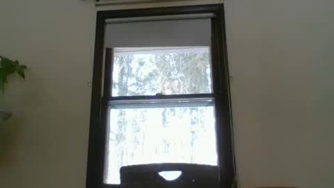 scottpbi52 online show from February 19, 3:16 pm