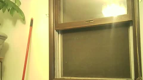 scottpbi52 online show from September 17, 12:56 am