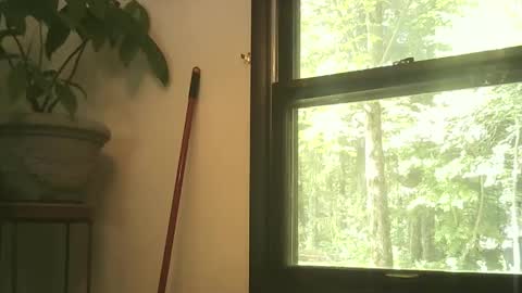 scottpbi52 online show from September 27, 3:39 pm