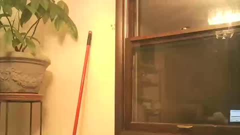 scottpbi52 online show from September 28, 3:45 am