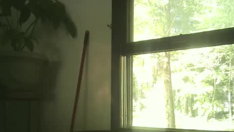 scottpbi52 online show from September 30, 2:44 pm