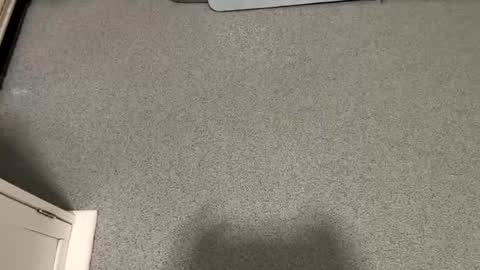 scottyc48 online show from November 23, 7:41 am