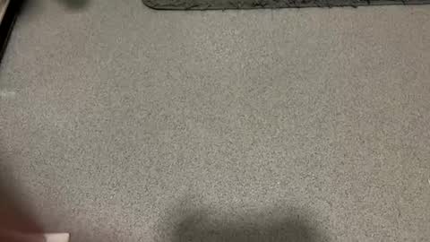 scottyc48 online show from December 1, 2:11 pm