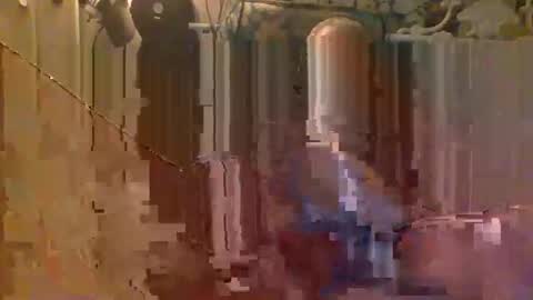 scoutiii online show from November 4, 10:03 am