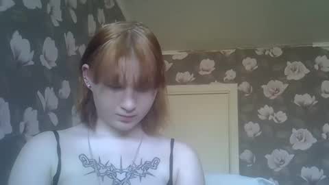 scylla5 online show from April 4, 10:13 am