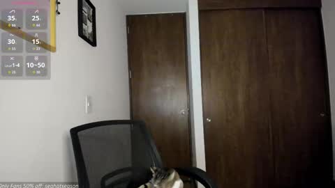 Aria Independent model online show from December 19, 12:39 am