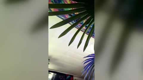 Snapshot of seanplushouse chatting on February 28, 7:48 pm seanplushouse online show from February 28, 7:48 pm