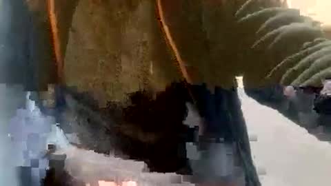 sebtin1979 online show from February 23, 2:36 pm