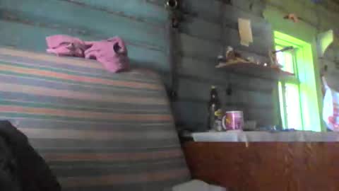 hiroshi satanaka online show from June 6, 8:30 am