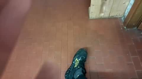 segaiolo21cm online show from November 25, 12:43 am