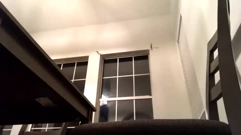 sencilloparati online show from February 20, 10:27 am