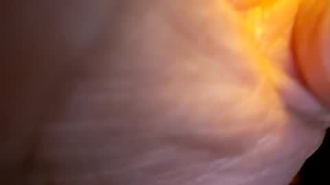 senor49509 online show from November 27, 2:02 am