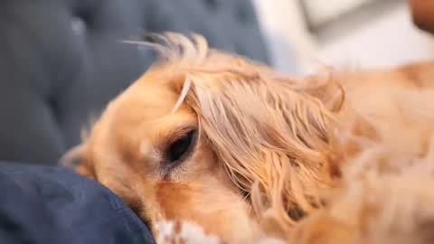 Snapshot of senssual_goddess chatting on October 7, 4:37 pm senssual_goddess online show from October 7, 4:37 pm