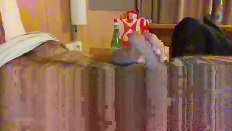 Snapshot of serialfucka69 chatting on October 27, 6:56 pm serialfucka69 online show from October 27, 6:56 pm