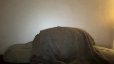 Snapshot of seroc12345 chatting on January 19, 2:47 am Seroc online show from January 19, 2:47 am