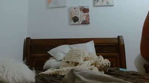 Snapshot of sexual_muscle chatting on February 24, 10:35 am sexual_muscle online show from February 24, 10:35 am