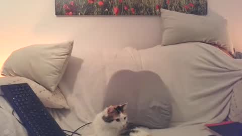 Sexurbation online show from December 20, 8:16 pm