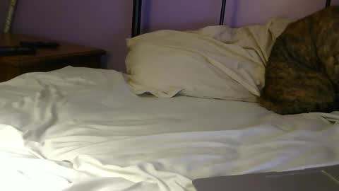 sexxxylibra10 online show from April 25, 7:55 pm