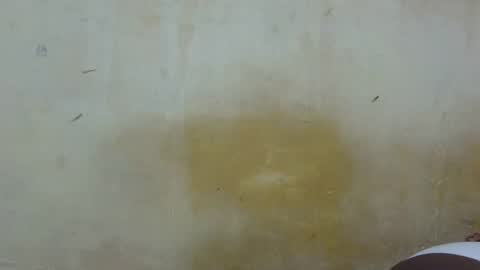 sexy_candy9 online show from January 13, 7:30 pm