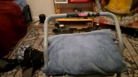 Snapshot of sexy_cayden chatting on January 23, 11:58 am Cayden online show from January 23, 11:58 am