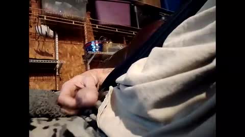 Snapshot of sexy_richy chatting on November 1, 1:57 pm RICHY online show from November 1, 1:57 pm