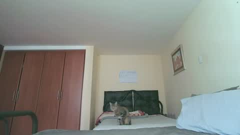 Snapshot of sexyaliceskay chatting on July 27, 2:24 pm Alice Skay online show from July 27, 2:24 pm
