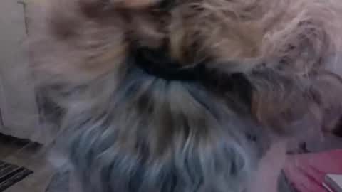 SexyFit58 online show from December 15, 1:57 am