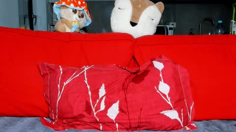 Snapshot of sexyfoxyari chatting on December 16, 5:11 pm Ari online show from December 16, 5:11 pm