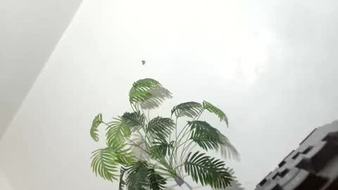 sexyhotbabe18 online show from March 7, 9:56 pm