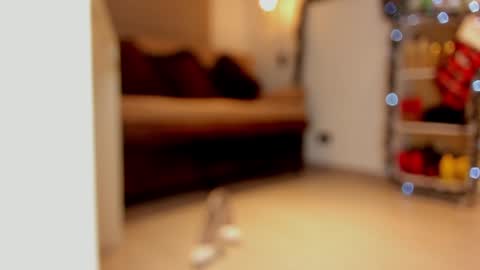 Snapshot of sexykata_s chatting on December 29, 6:03 am katalina larson online show from December 29, 6:03 am