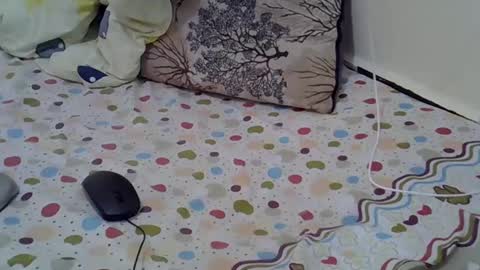 Snapshot of sexykoko_1_ chatting on February 16, 4:53 am Sexy online show from February 16, 4:53 am