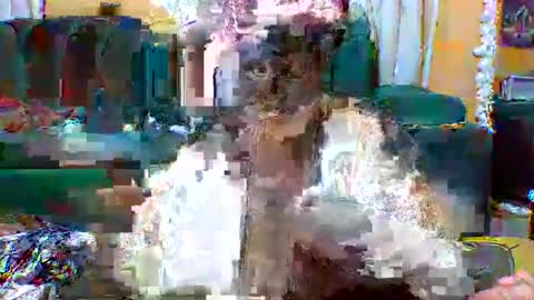 Snapshot of sexylo52 chatting on May 13, 11:07 am sexylo52 online show from May 13, 11:07 am