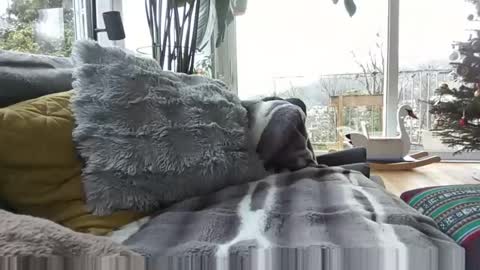 sexylover81ch online show from December 21, 11:28 am