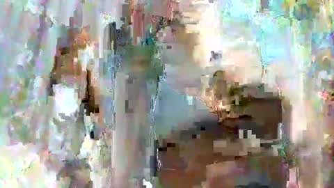 taiyan online show from February 15, 1:31 am