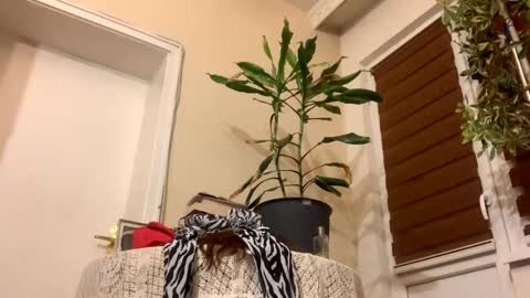 Anya online show from January 22, 8:17 pm