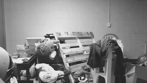 sexyshavenboi online show from January 17, 12:54 pm