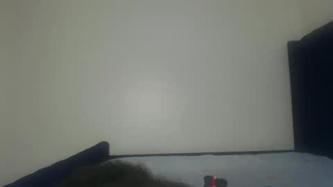 Snapshot of shadow_sweets chatting on November 29, 1:25 pm Shadow online show from November 29, 1:25 pm