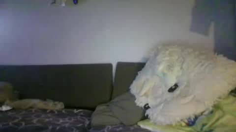 Snapshot of shafte1981 chatting on June 2, 10:01 pm shafte1981 online show from June 2, 10:01 pm